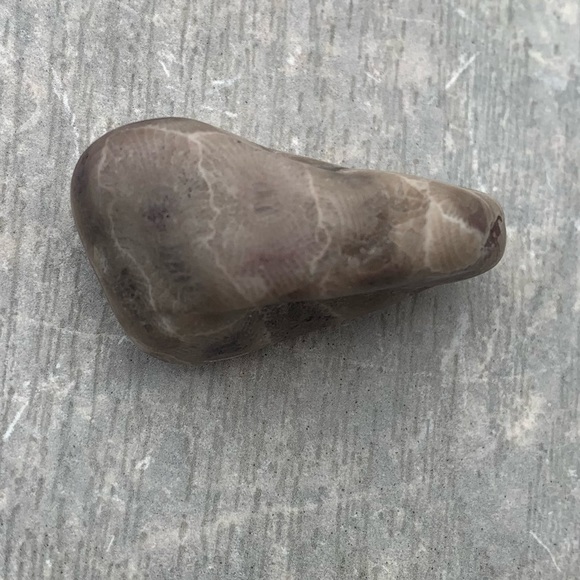 Petoskey stone - Picture 8 of 11